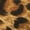 8MS220809102, variant on Womens Tennis Shoes Leopard Sneakers Black Shoes Size 10
