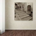 thumbnail image 3 of Trademark Fine Art "Lombardy I" Canvas Art by Alan Blaustein, 3 of 3