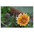 thumbnail image 1 of Flowers Pdphotoh Ceramic Tile Mural Kitchen Backsplash Bathroom Shower, 405055-X, 1 of 3