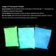 thumbnail image 2 of Polvo fluorescente, 100 g Pigmentos luminiscentes profesionales Color fosforescente Fotoluminiscencia No tóxica Aluminio Estroncio Aluminio Luces de neón Noches en pigmentos oscuros(Yellow Green) EOTVIA No, 2 of 6