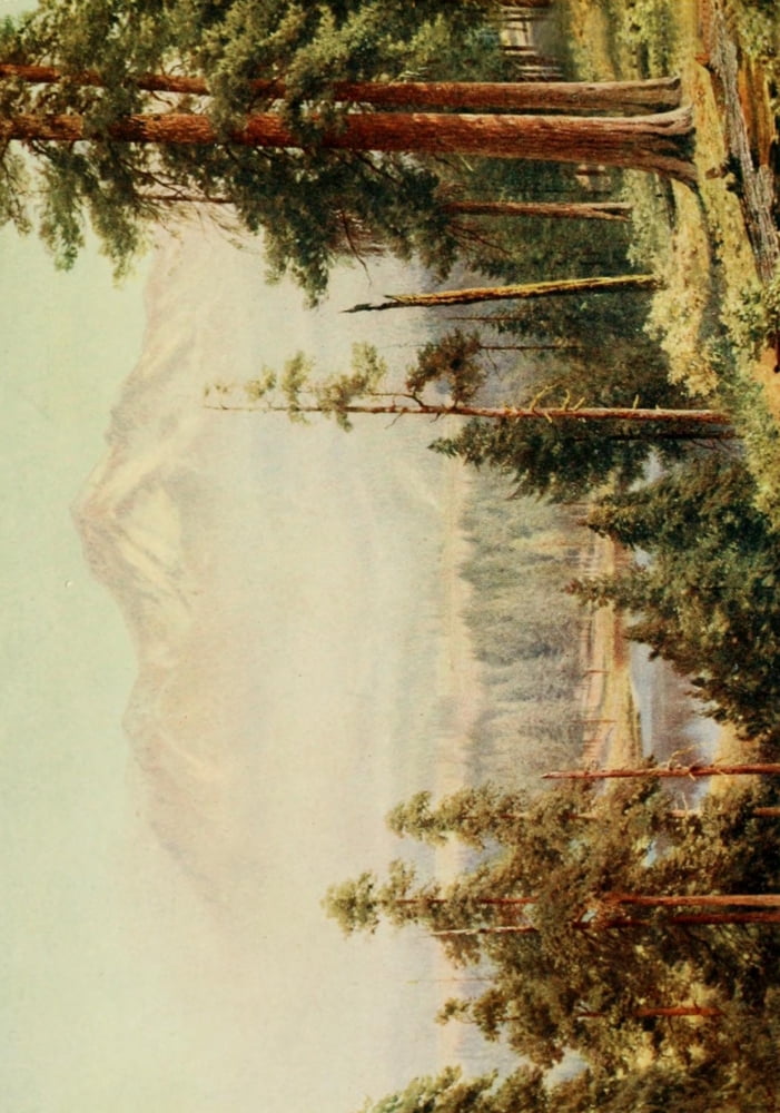 California 1914 Sha