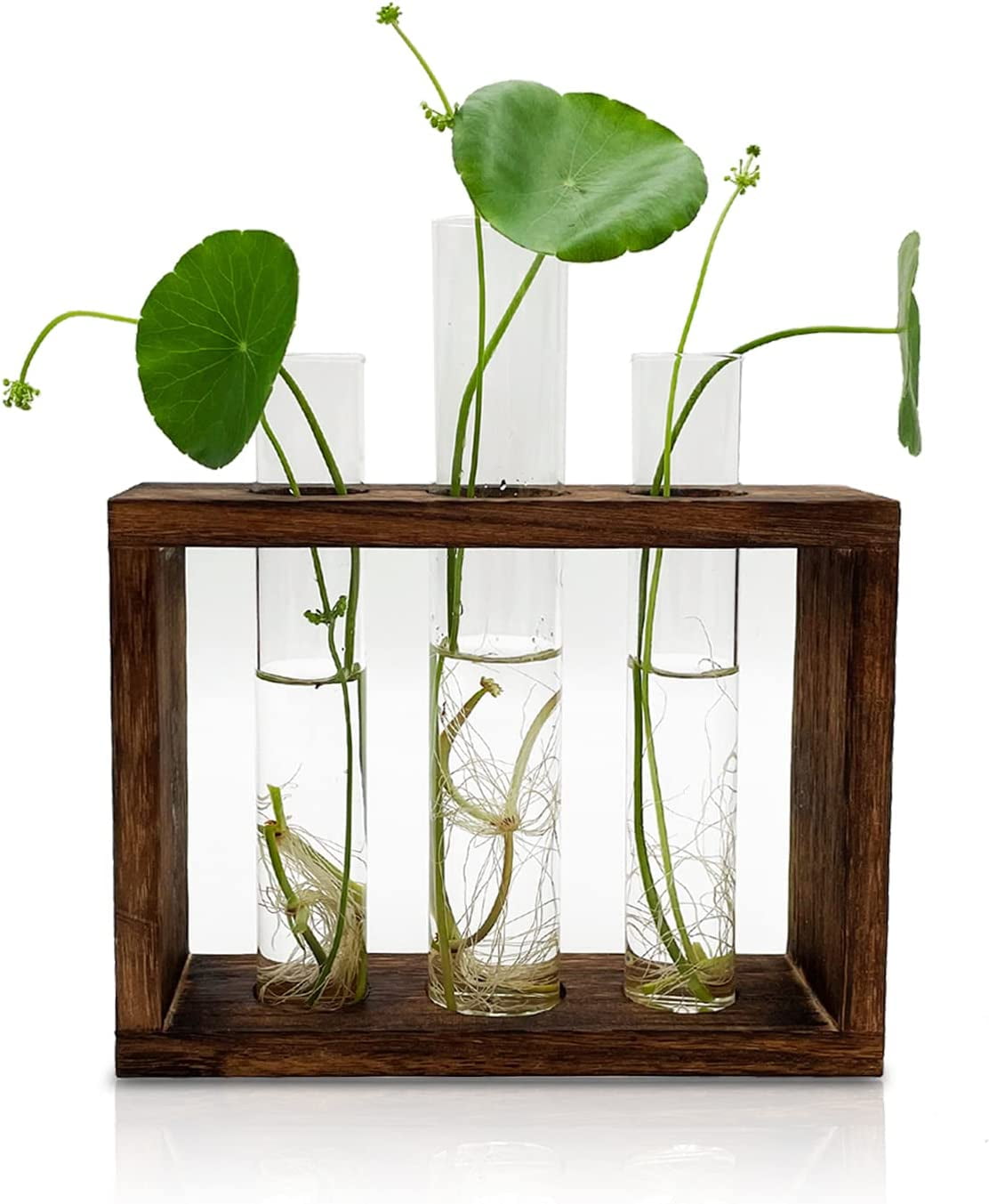Plant Terrarium with Wooden Stand, Hanging Glass Plant Holder Ornaments