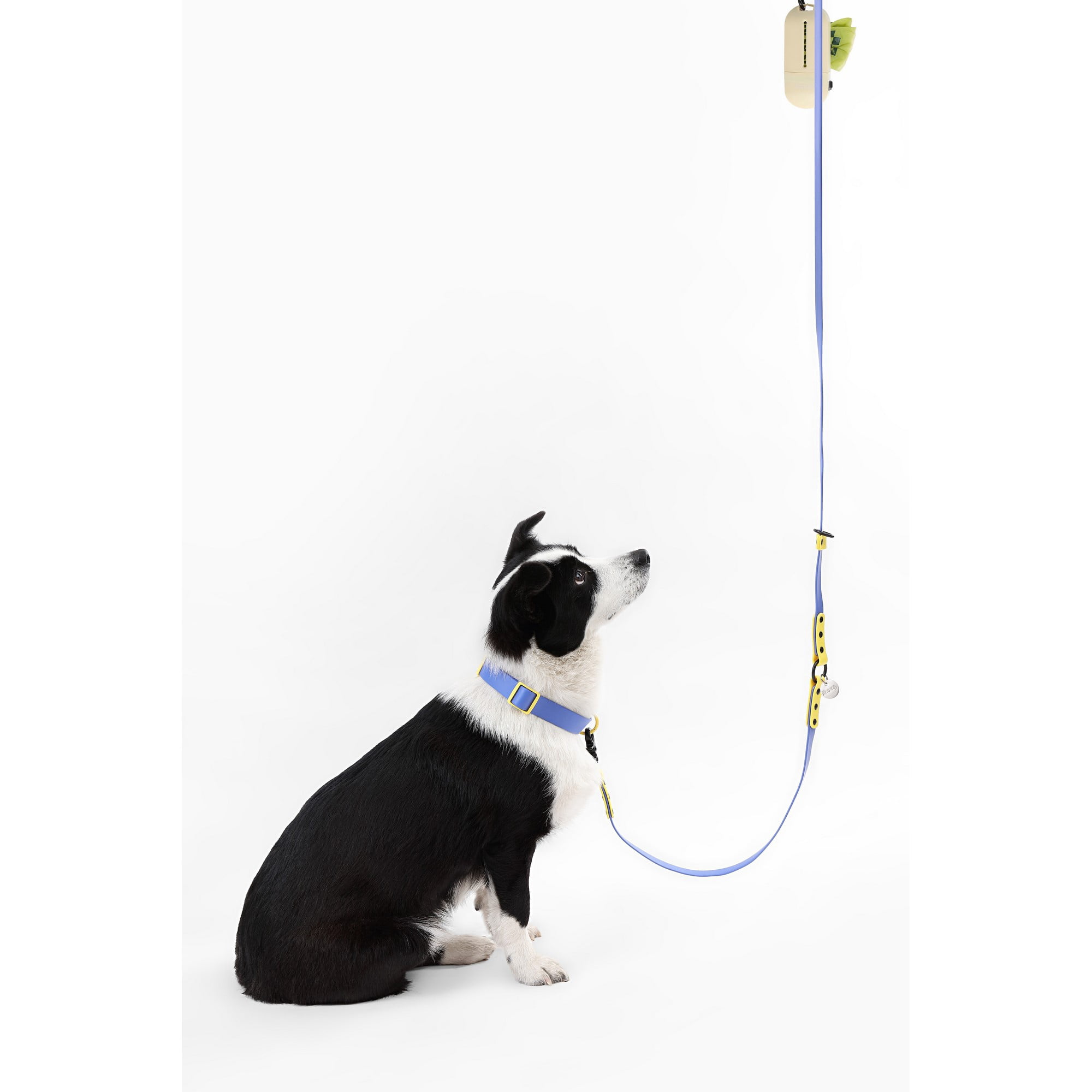 THE LICKER STORE Luna Large 8FT Adjustable 6-in-1 Waterproof Hands-Free Leash and Collar with LED Flashlight, Bag Dispenser, and Poop Bag Holder, Dark Blue/Yellow, WLK1006C-5SET