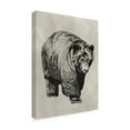 thumbnail image 2 of Trademark Fine Art 'Pen And Ink Bear I' Canvas Art by Naomi McCavitt, 2 of 4