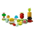 thumbnail image 3 of LEGO DUPLO My First Organic Garden 10984, 3 of 5