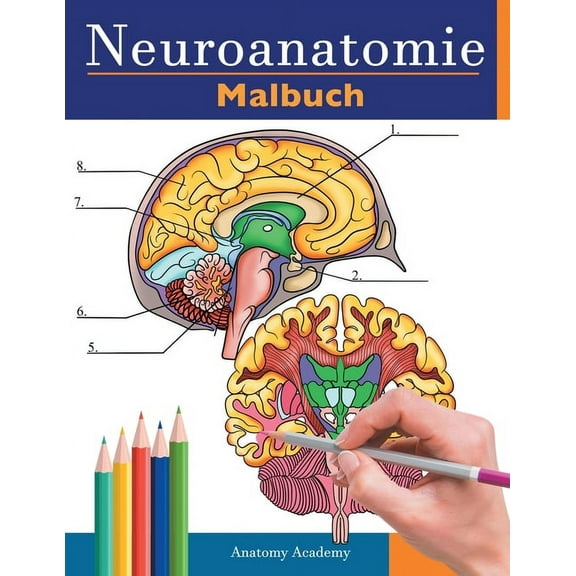 Neuroanatomie Malbuch: Detailliertes Malbuch zum Selbsttest des menschlichen Gehirns für die Neurowissenschaften Perfekt, (Paperback)