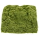 thumbnail image 5 of 1 bolsa de musgo sintético Micro paisaje falso musgo decoración musgo falso musgo decorativo para jardineras césped artificial musgo falso musgo prop decoración, 5 of 5