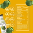 thumbnail image 5 of (Pack Of 12) Briannas Cilantro Lime Dressing 12 Oz, 5 of 6
