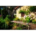 thumbnail image 2 of Hausenflock, Alan 14x11 White Modern Wood Framed Museum Art Print Titled - Mission Garden, 2 of 4