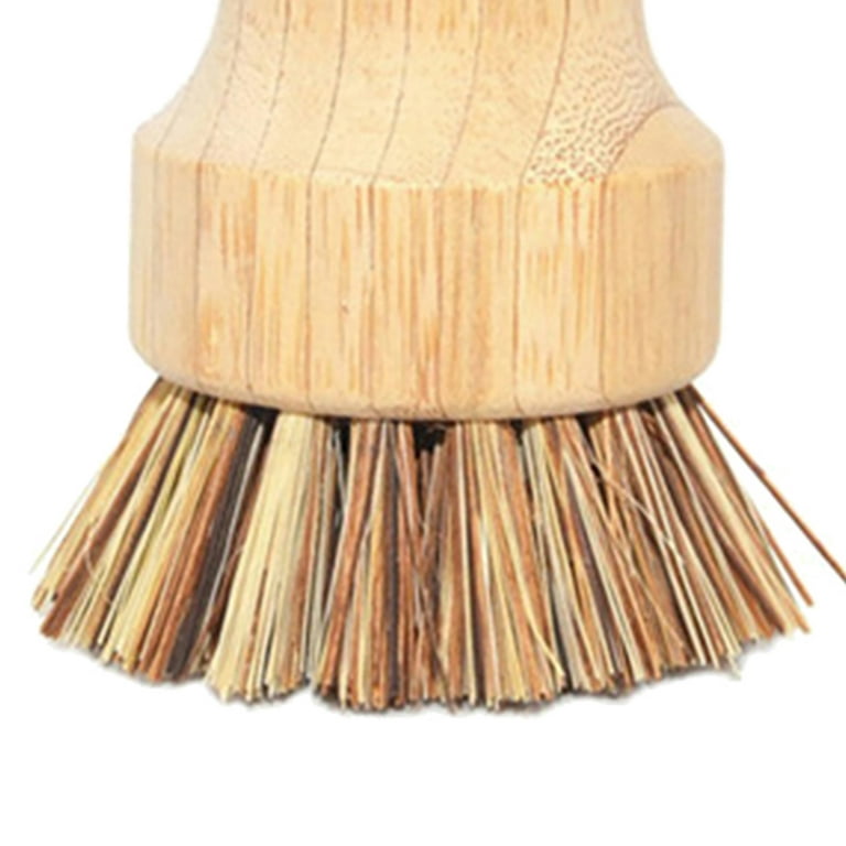Coconut Mini Scrub Brush Bamboo Dish Scrubber – Rowe Family Farms  Cleveland, TN