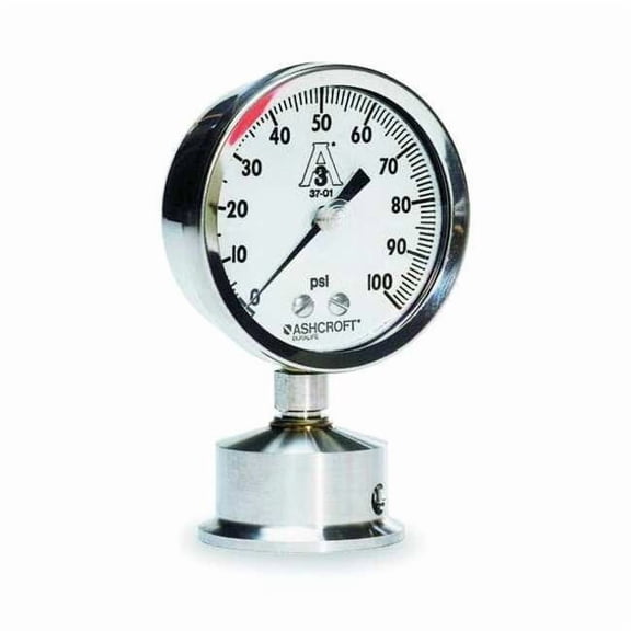 Ashcroft Pressure Gauge,0 to 30 psi,3-1/2In,2In 35-1032S-20L-30