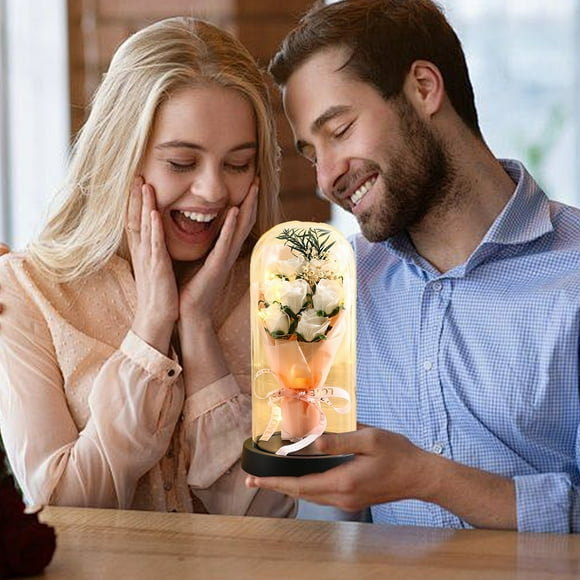 Danhjin Perpetual Flowers Arrangement Valentines Rose Gifts For Her Flower Gifts For Women Rose In Glass Dome Light Up Eternal Roses Birthday Gifts For Mom Anniversary Eternal Rose Gift