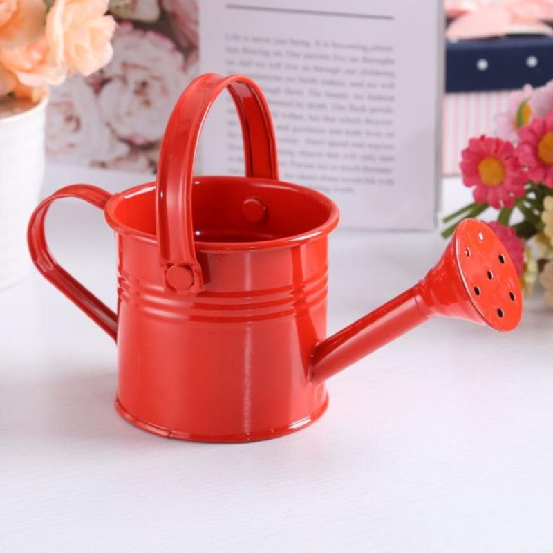 1Pc Watering Kettle Portable Handy Practical Iron Watering Pot for Garden 