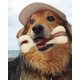 thumbnail image 5 of Juguetes para masticar para perros indestructibles para masticadores agresivos, juguetes para masticar para la dentición de perros duraderos, huesos para cachorros grandes/medianos/pequeños, 5 of 5