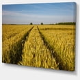 thumbnail image 2 of Rural Road through Wheat Field - Landscape Artwork Canvas, 2 of 3