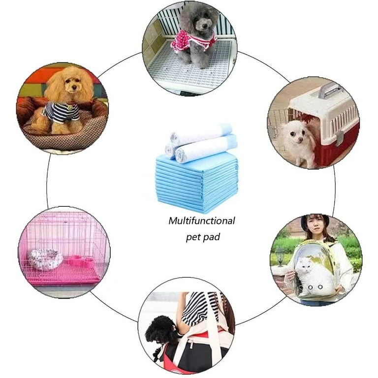 How To Train Cats To Not Pee In The House