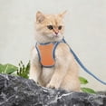 thumbnail image 1 of BotaniNest Cat Harness Cat Soft And Breathable Vest Cat Leash Easy To Wear For Cats Walking And Traveling, 1 of 4