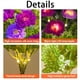 thumbnail image 3 of Injueey Juego de 2 adornos de césped para jardín exterior con luces solares de cadena, flores solares impermeables para exteriores. Decoración del hogar D, 3 of 6