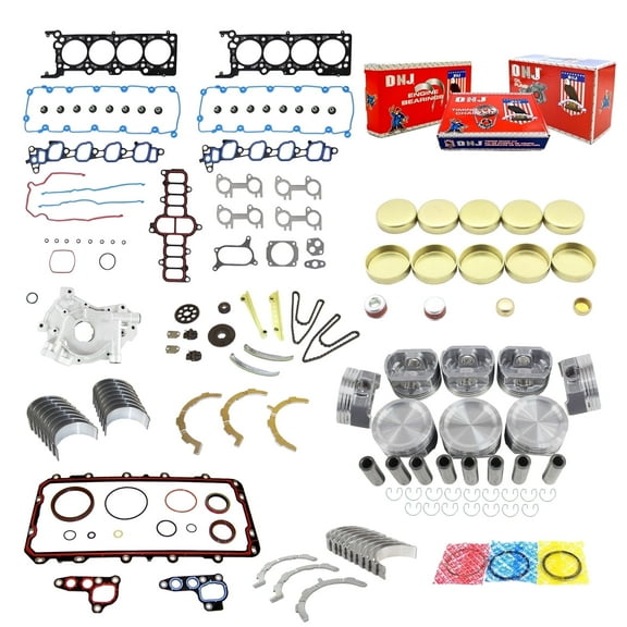 DNJ EK4155M Master Engine Rebuild Kit Fits Cars & Trucks 2002 Ford F-150 4.6L SOHC V8 16V 281cid VIN 6