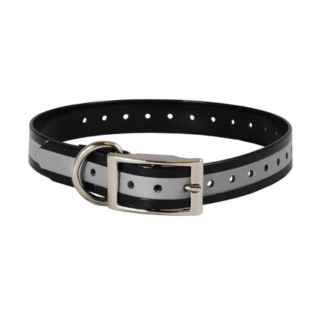 The Buzzard's Roost  Reflective 1 inch Collar Strap