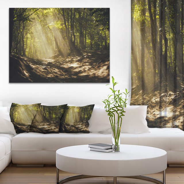 Rayons de Soleil à Travers les Arbres Verts - Impression sur Toile Photographie de Paysage
