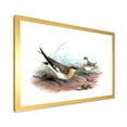 thumbnail image 2 of Designart 'Ancient Bird Illustration II' Farmhouse Framed Art Print, 2 of 4