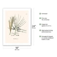 thumbnail image 2 of Palm Seeds and Flowers (Hyospathe Elegans) - Vintage Botanical Illustration by Carl Friedrich Philipp von Martius c.1820s - Fine Art Matte Paper Print (Unframed) 18x24in, 2 of 4