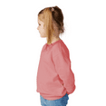 thumbnail image 3 of Rabbit Skins Toddler Fleece Crewneck Sweatshirt, Soft & Durable Kids Sweatshirt, Mauvelous,5/6, 3 of 5