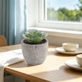 thumbnail image 4 of Small Fake Plants Realistic Lifelike Artificial Potted Succulents, Mini Durable Plastic 2.7x2.6x2.6 in with Pot Faux Plants for Home Office, Kitchen, and Indoor Table Decor, 4 of 6