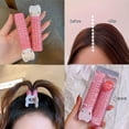 thumbnail image 2 of HSHDLDF (8Pcs) Velcro Hair Clips, Velcro Clips for Hair, Volumizing Hair Clips, Volumizing Roller Clips, Hair Root Volume Clip,Velcro Volume Hair Clips, Volumizing Hair Root Clips for Volume, 2 of 6