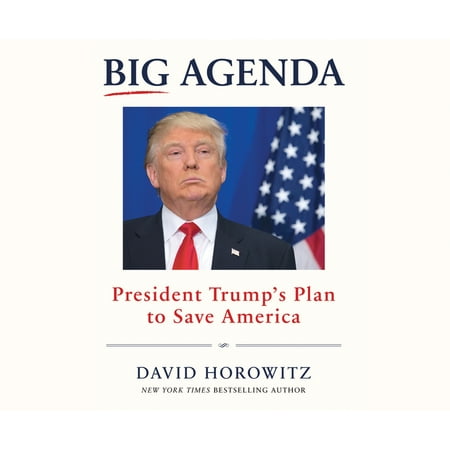 Big Agenda : President Trump's Plan to Save America