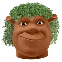 Shrek Chia Pet Handmade Decorative Planter by JEI