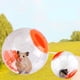 thumbnail image 4 of Pelota de ejercicio para hámster, pelota de ejercicio para hámster, (12 cm, naranja), pelota de ejercicio para hámster, pelota para hámster, para animales pequeños, actividad interesante que depende del aburrimiento Rojo Verde, 4 of 5