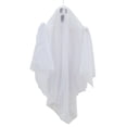 thumbnail image 1 of WAY TO CELEBRATE BASIC HANGING GHOST, 1 of 5