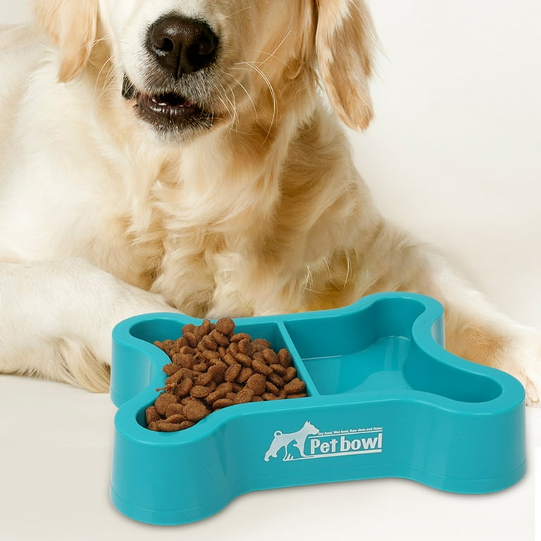 Cute girl dog bowls online