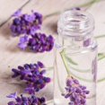 thumbnail image 4 of Hydrosol OPO Lavender Water 3,8 L - Tónico facial calmante, 4 of 8