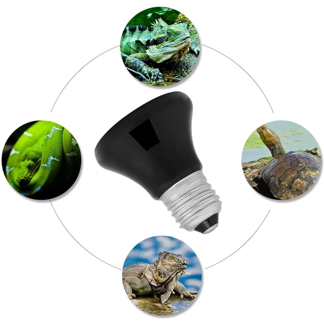 Lámpara de lámpara de calor de reptiles, lámpara de calor del termostato de reptil para reptiles de reptiles lámpara de calor de reptiles de la bombilla del calor de reptil