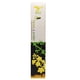thumbnail image 2 of Incienso Sin Varilla 100% Natural Fragancias Herbales Larga Duracion 60min Relajación Budismo Meditación Yoga Pilates Copal Mirra Lavanda Palo Santo Hecho en India Elementos Bambooless + Base, 2 of 5