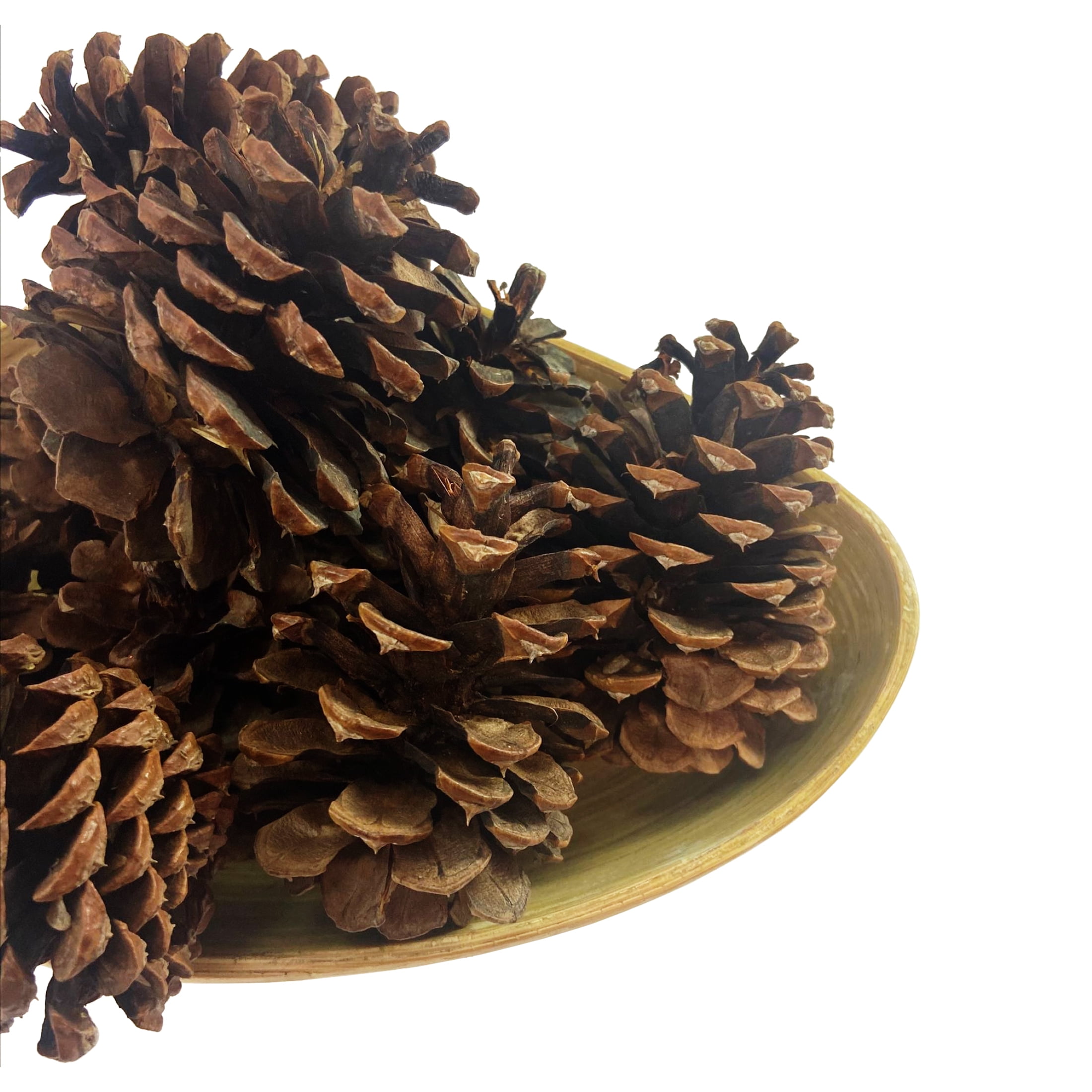 (2 pack) Holiday Time Cinnamon Fragranced Brown Pinecones 8oz
