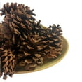 thumbnail image 3 of Rooms in Bloom 100% Natural Brown Cinnamon Scented Pine Cones, 3 of 5