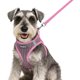thumbnail image 1 of wonima02 Small Dog Harness and Leash Set, Step in Puppy Vest with Breathable Soft Mesh, Walking Reflective Pet Harness for Small Dogs, Pink, S, 1 of 1