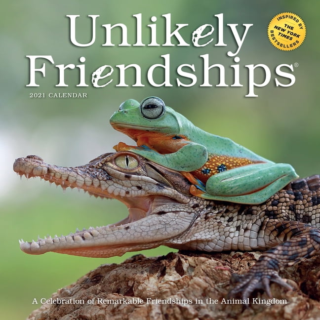 unlikely-friendships-wall-calendar-2021-other-walmart