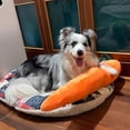 thumbnail image 4 of Giant Carrot Dog Toy, The Mellow Dog Calming Carrot, Sturdy Plush Multi-squeaks Toys, Cute Stuffing Chew Boredom Toys for Indoor Small Medium Large Dogs (2), 4 of 8