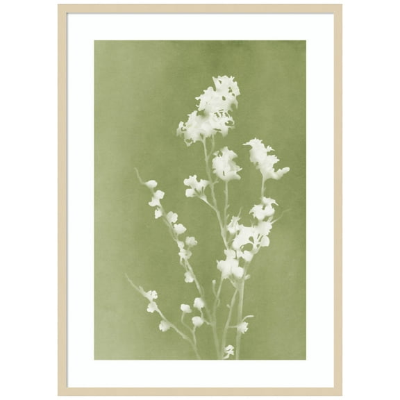 Amanti Art Monograph Green Flowers Wood Framed Wall Art Print