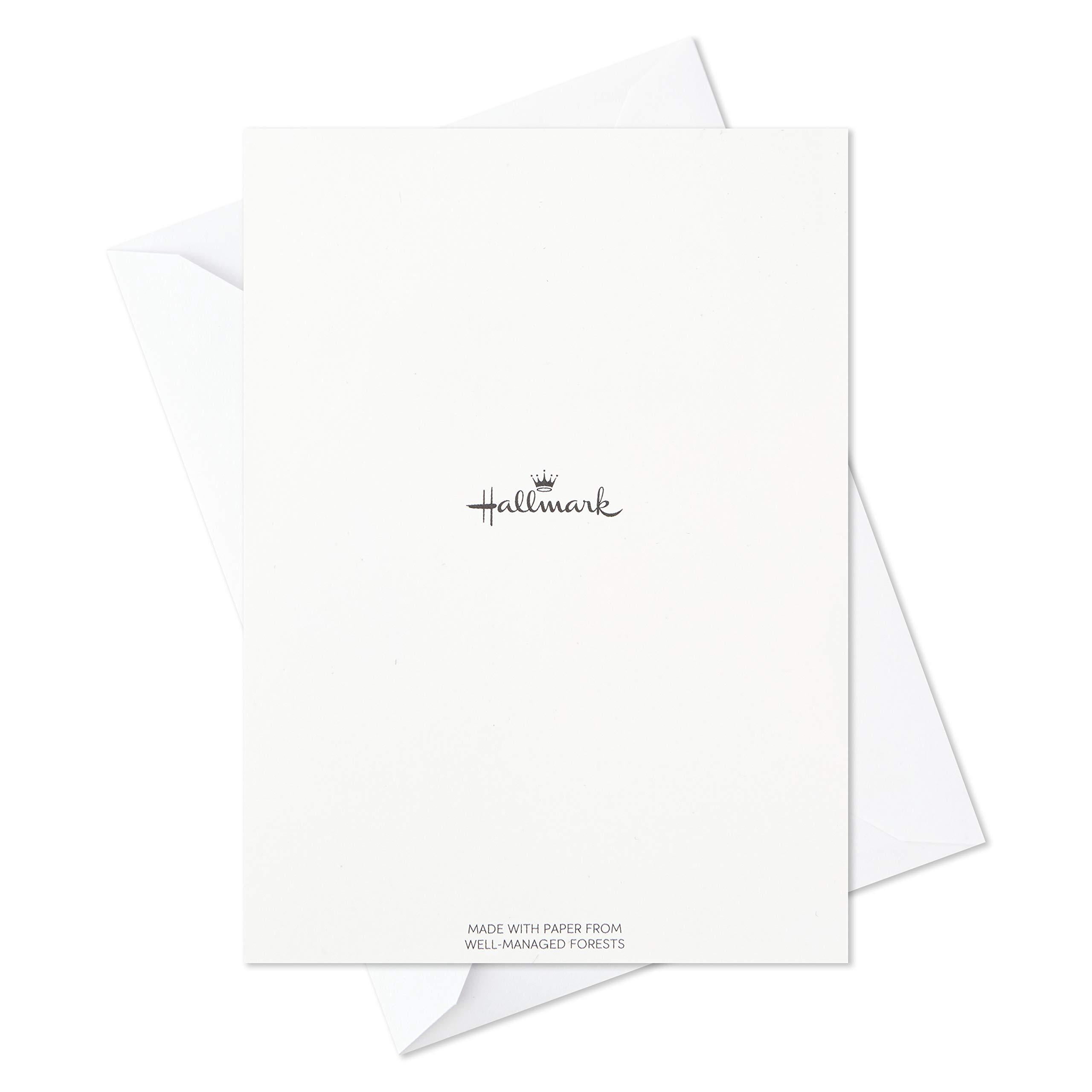 Hallmark Nature Prints Blank Greeting Cards with Envelopes, (48 Count)