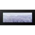 thumbnail image 2 of Frank, Assaf 18x9 Black Modern Framed Museum Art Print Titled - Misty forest, 2 of 5