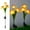 Orange, variant on TERGAYEE Solar Garden Lights Outdoor,Solar Garden Lights with Daffodil Flowers Solar Garden Stake Lights for Garden Patio Yard Pathway Decoration