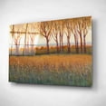 thumbnail image 2 of Epic Art 'Glow in the Afternoon I' by Tim O'Toole, Acrylic Glass Wall Art, 16"x12", 2 of 3