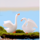 thumbnail image 5 of Mini Animales Figuras en Miniatura Modelo de Animales Jardín de Hadas Paisaje de Musgo en Miniatura DIY Terrario Manualidades Adornos Accesorios para la decoración del hogar, B WD.WDQZL Hogar, 5 of 5