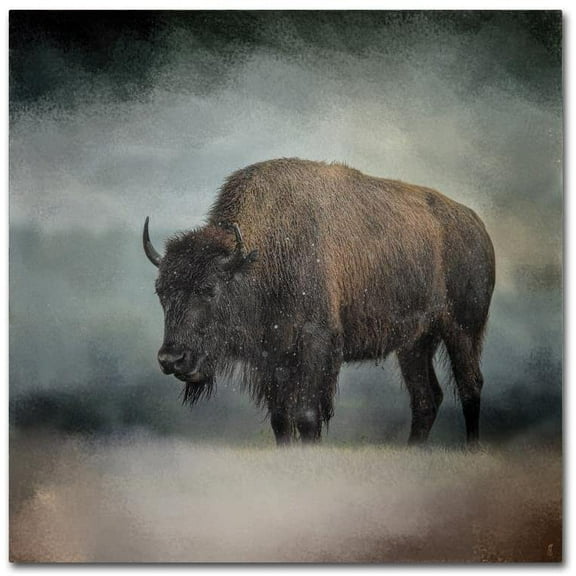 Trademark Fine Art Jai Johnson Stormy Day Buffalo Canvas Wall Art - 18x18